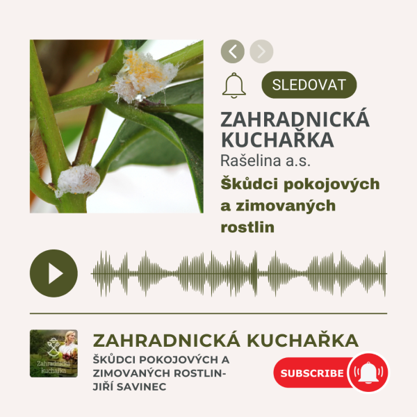 Podcasty zahradnicka kuchaka 2