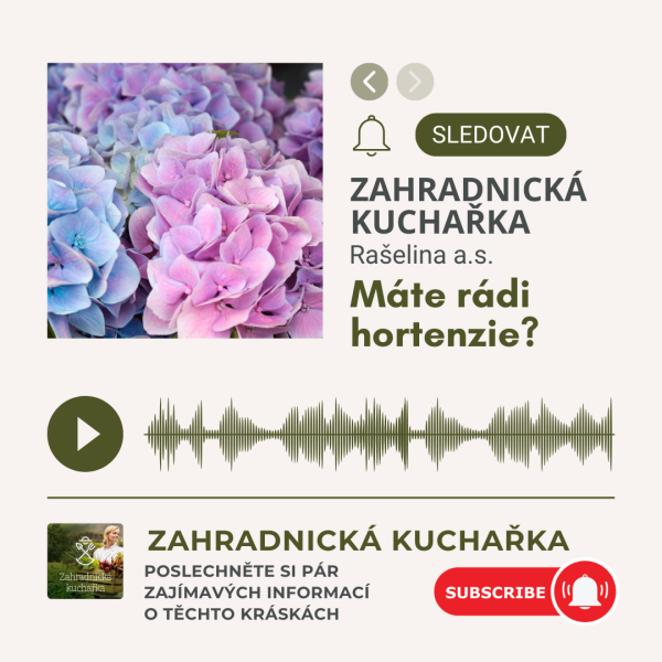 Zahradnicka kuchaka2