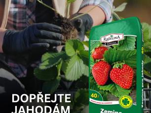 Pispvek IG Pispvek na Instagramu 45 1