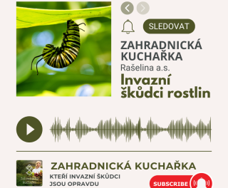 Zahradnicka kuchaka 5