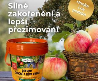 kampa 2025 OVOCNE DEVINY2